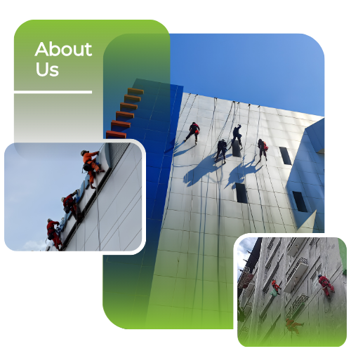 ABOUT US CV. Green Adventure Celebes